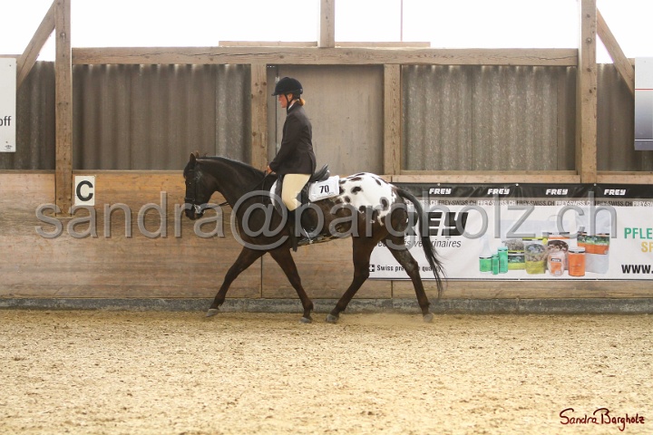 29-ApHC OHUS_049.jpg
